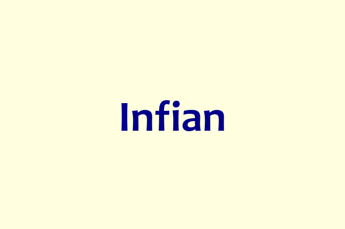 Application Development Company Infian