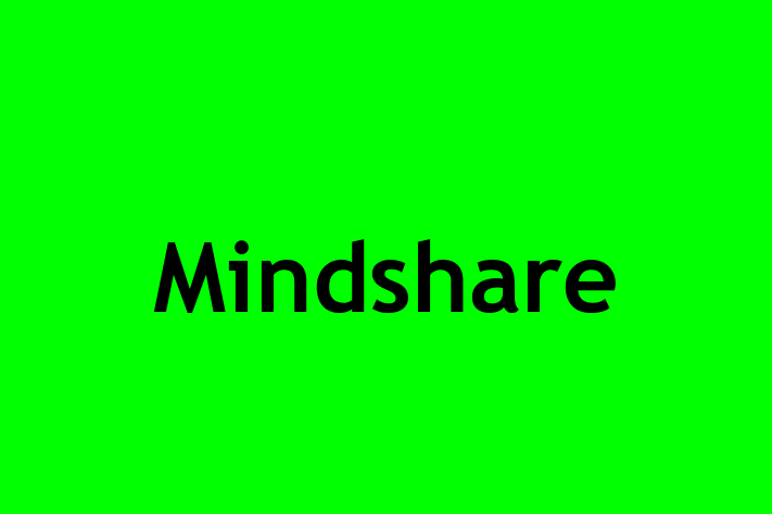 Software Development Firm Mindshare