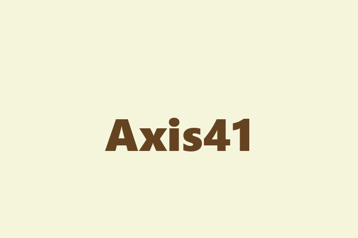 IT Company Axis41