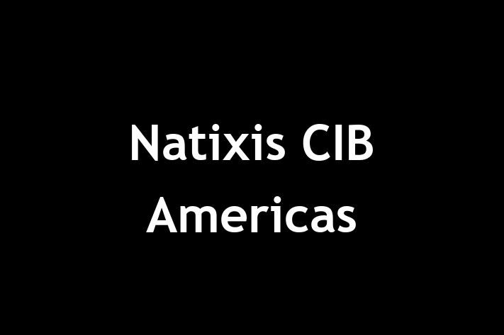 Labor Relations Natixis CIB Americas