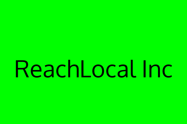 Software Engineering Company ReachLocal Inc