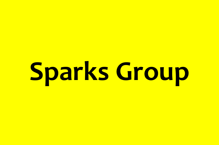 Talent Management Sparks Group