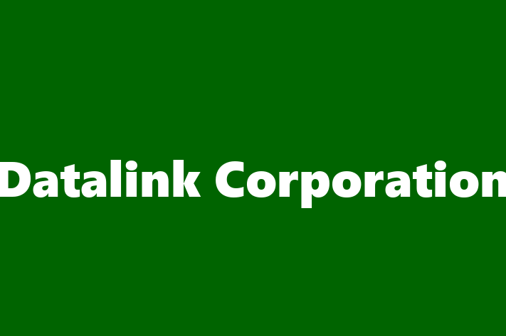 Software Services Company Datalink Corporation