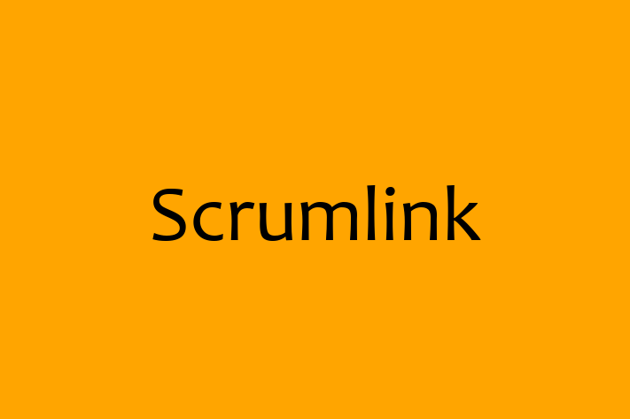 Software Solutions Provider Scrumlink