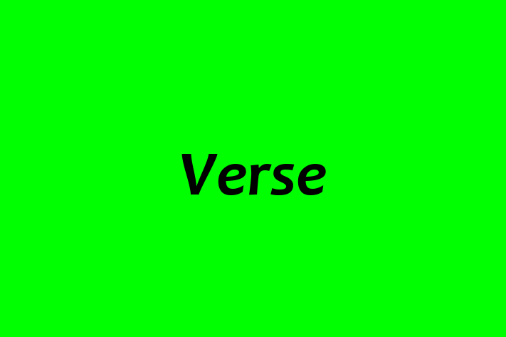 Software Development Firm Verse