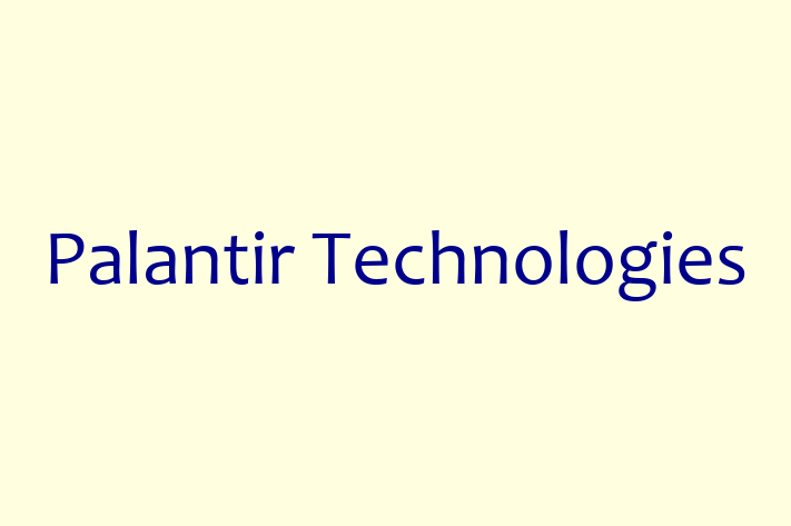 Software Solutions Provider Palantir Technologies