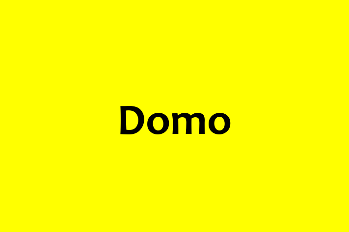 Software Engineering Company Domo