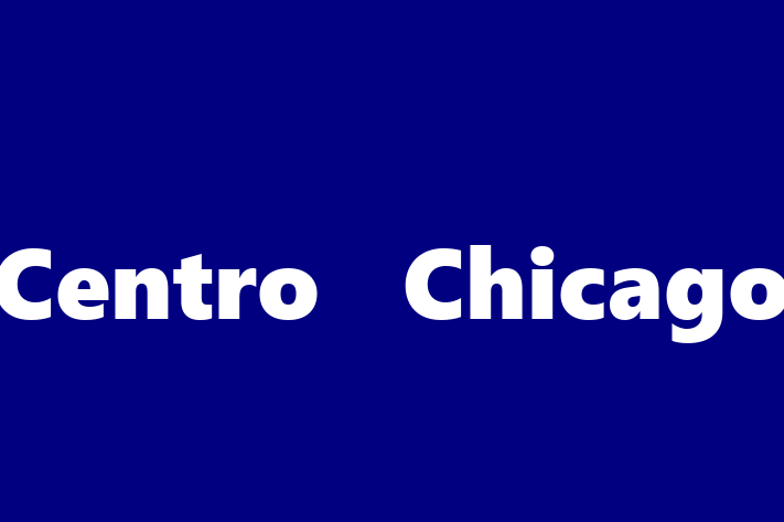 Technology Solutions Firm Centro   Chicago