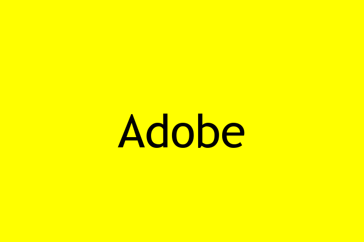 Software Solutions Provider Adobe