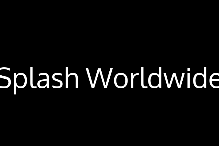 IT Company Splash Worldwide