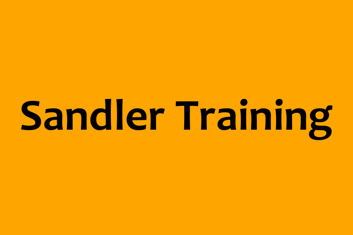 Software Development Company Sandler Training