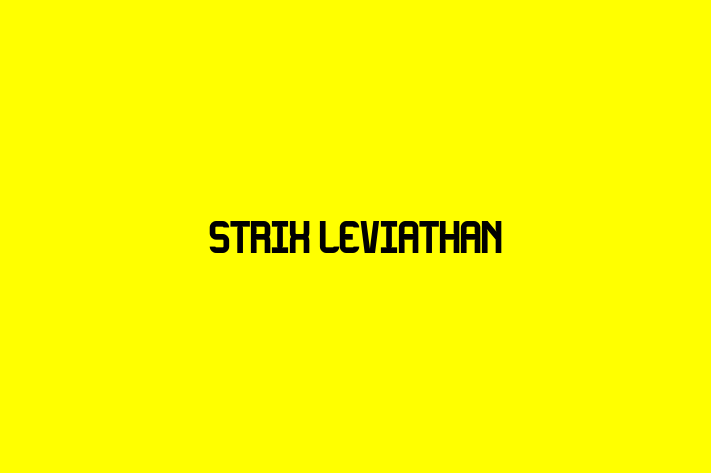 Software Firm Strix Leviathan