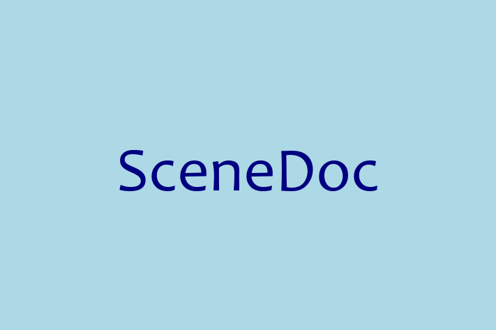 Software Consultancy SceneDoc