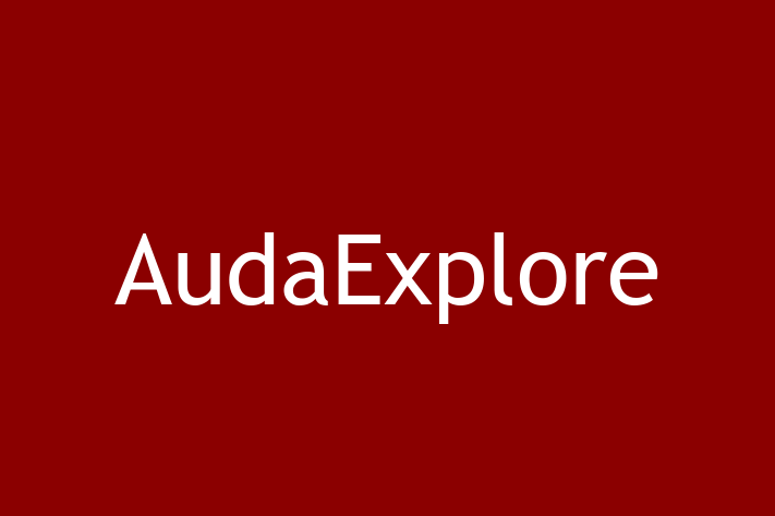 Software Consultancy AudaExplore