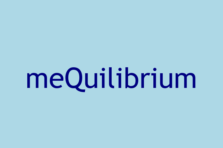 Application Development Company meQuilibrium