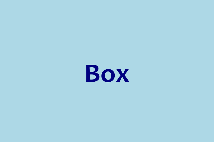 Software Development Company Box