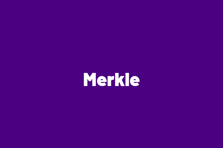 Software Services Company Merkle