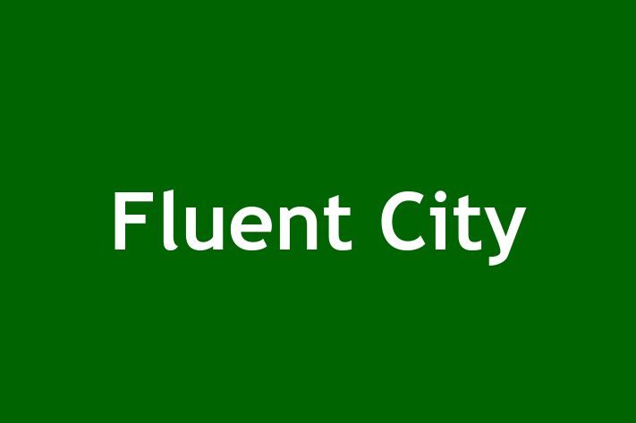 Software Consultancy Fluent City