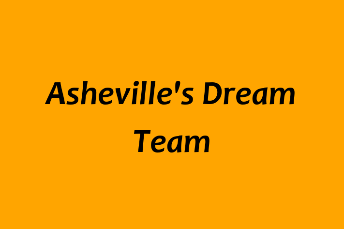 Human Resource Management Ashevilles Dream Team