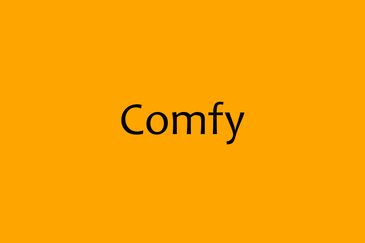 Tech Solutions Company Comfy