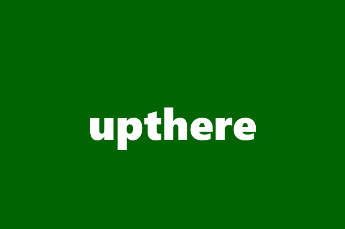 Software Services Company upthere