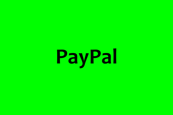 Tech Solutions Company PayPal