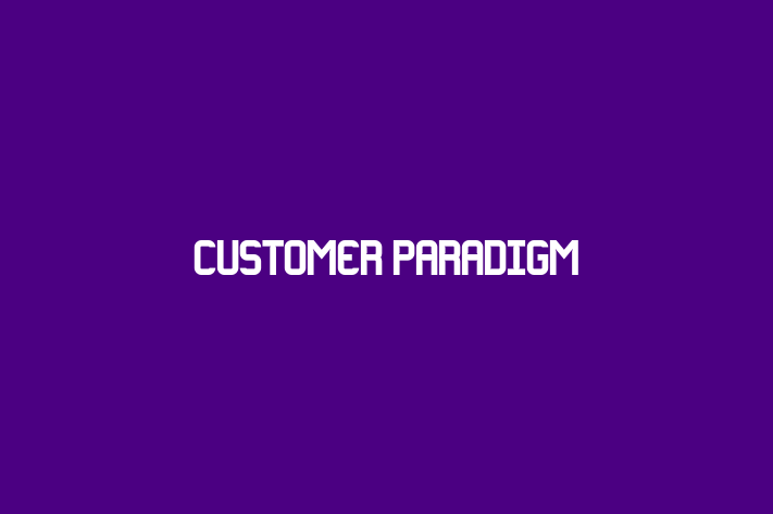 Software Solutions Provider Customer Paradigm