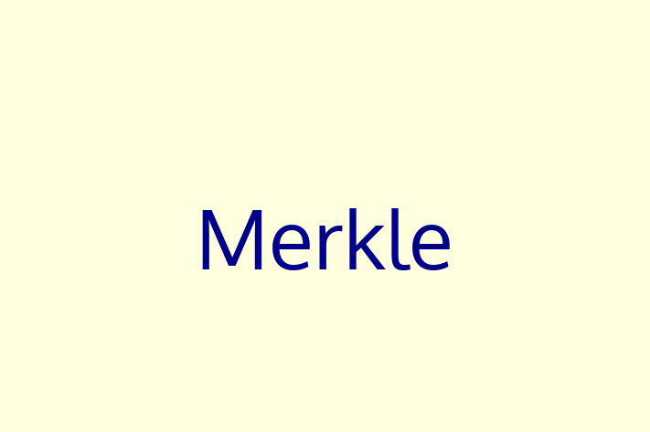 Software Development Firm Merkle