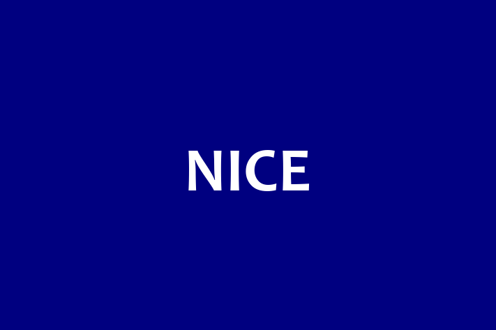 Tech Solutions Company NICE