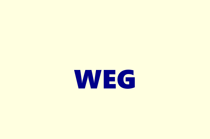 Software Firm WEG