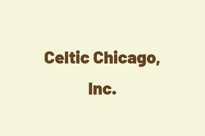 Software Development Firm Celtic Chicago Inc.