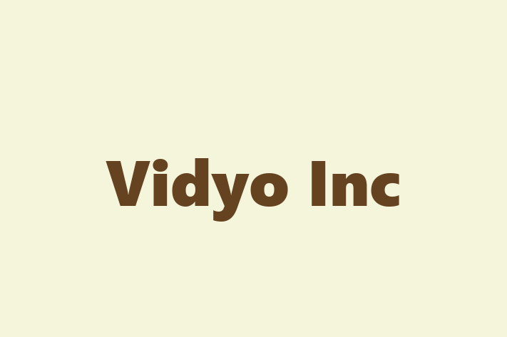 Tech Solutions Company Vidyo Inc