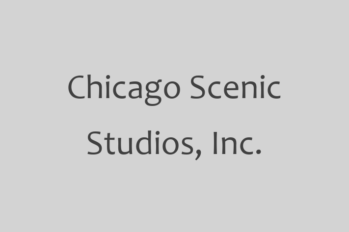 Software Consultancy Chicago Scenic Studios Inc.