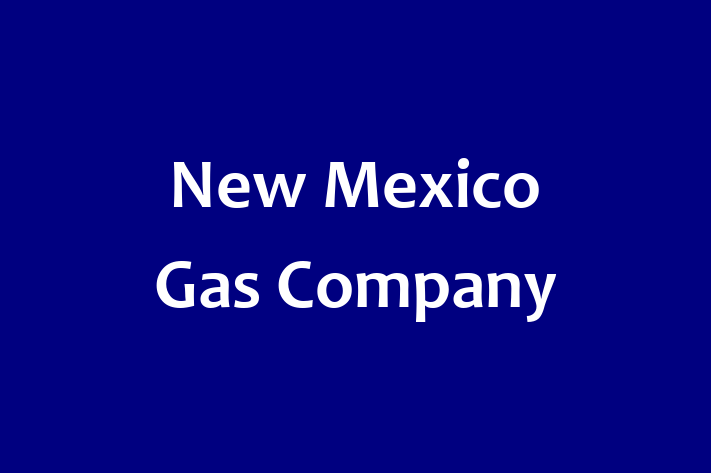 Software Engineering Company New Mexico Gas Company