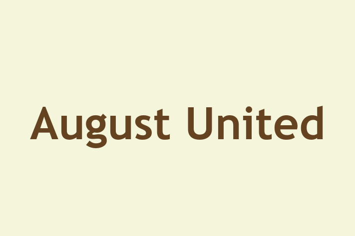 Technology Solutions Firm August United