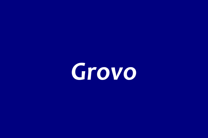 Software Development Company Grovo