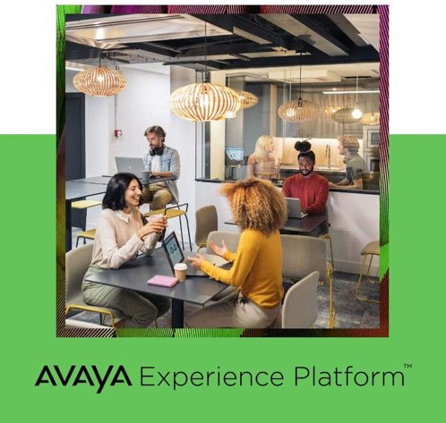 IT Company Avaya Inc