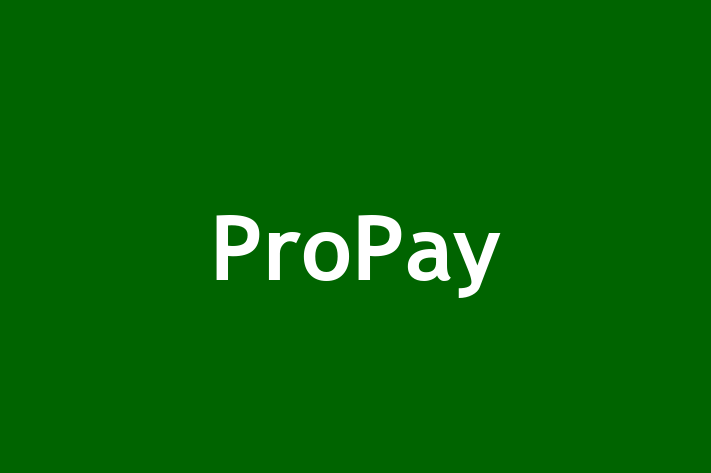 Tech Solutions Company ProPay