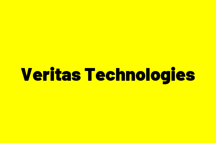 Software Consultancy Veritas Technologies