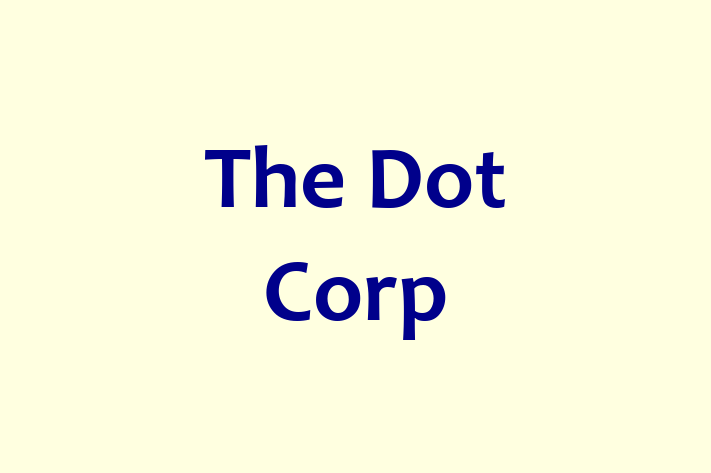 Software Firm The Dot Corp