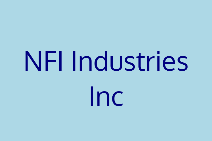 Software Consultancy NFI Industries Inc