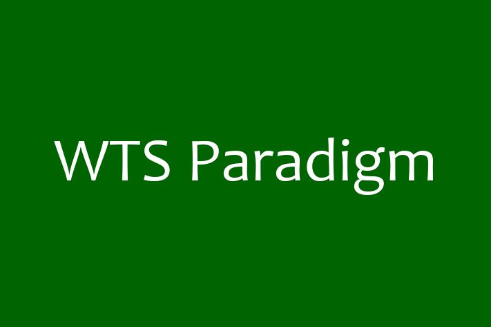 Software Services Company WTS Paradigm