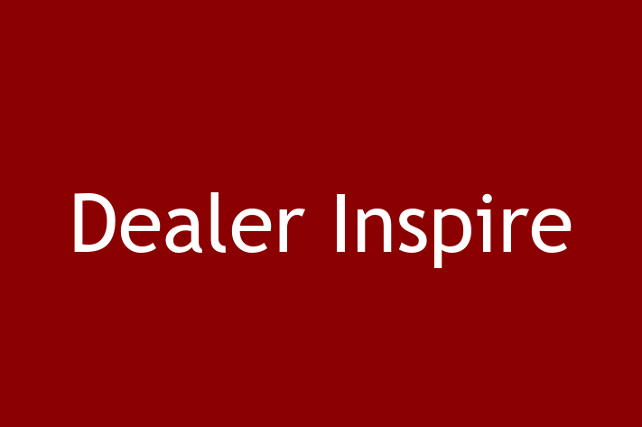 Technology Solutions Firm Dealer Inspire