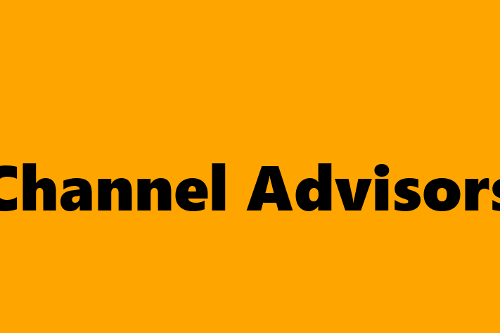 IT Company Channel Advisors