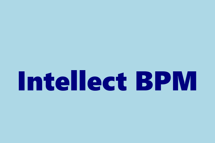 Software Development Company Intellect BPM