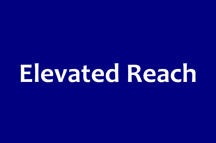 Software Development Company Elevated Reach