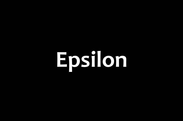 Software Engineering Company Epsilon