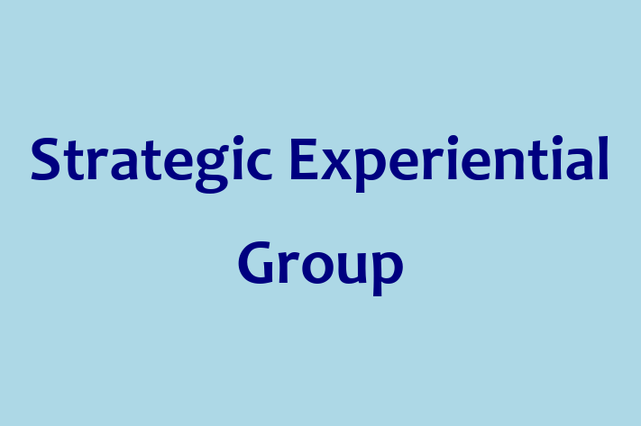 Tech Firm Strategic Experiential Group