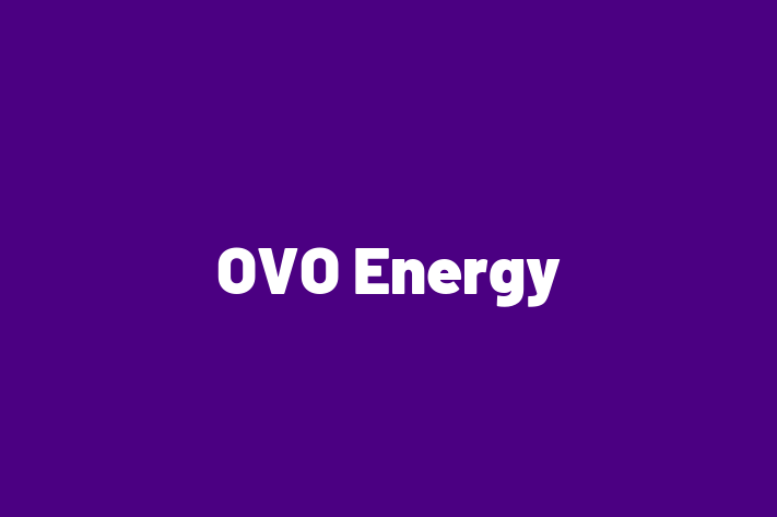 Tech Solutions Company OVO Energy