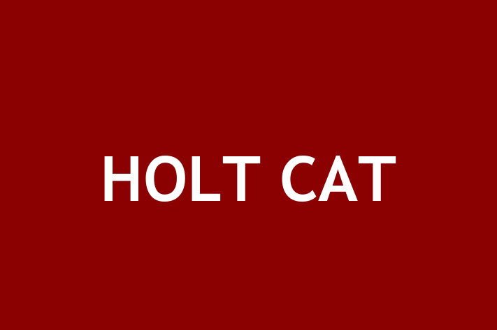 Labor Relations HOLT CAT